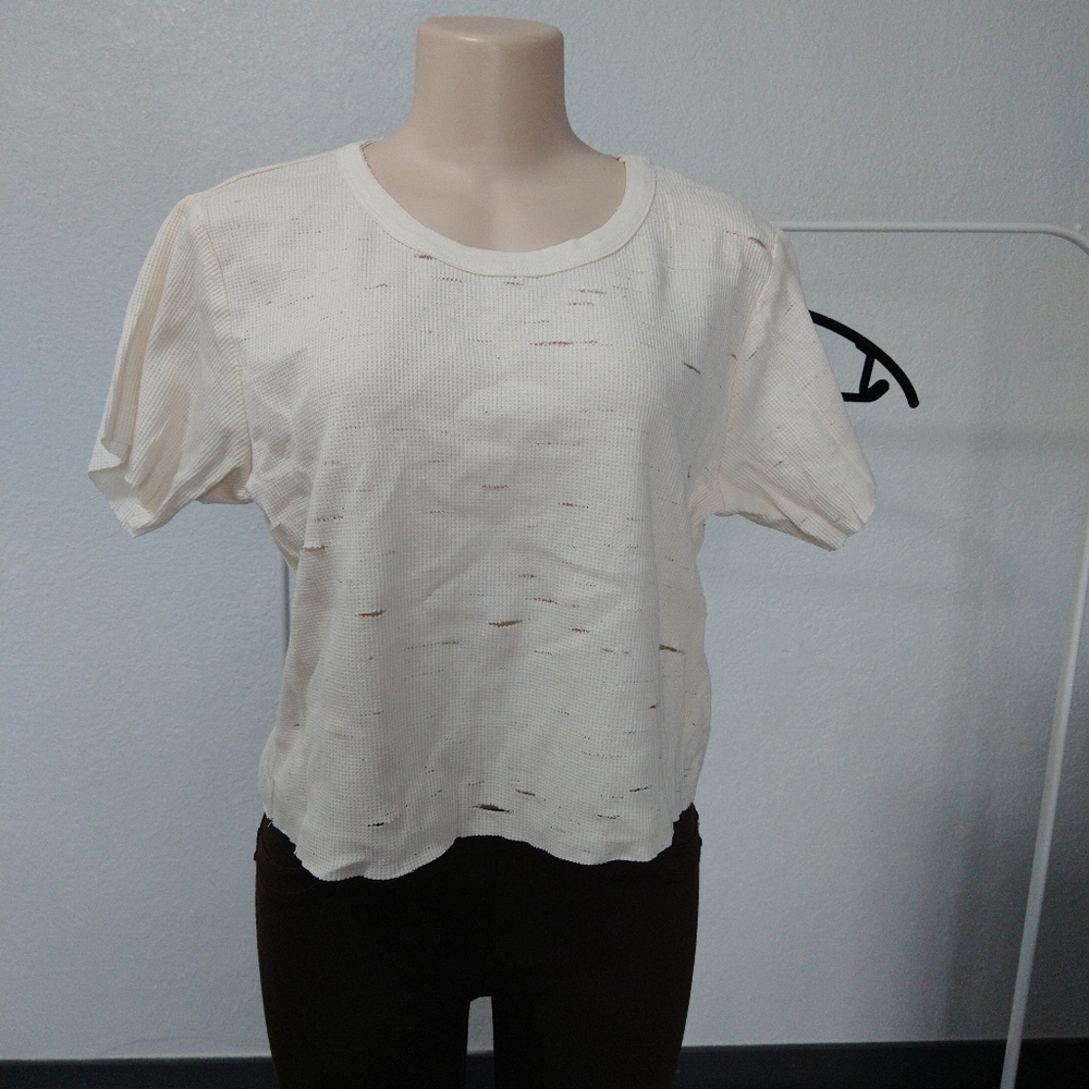 Gilded intend crop top